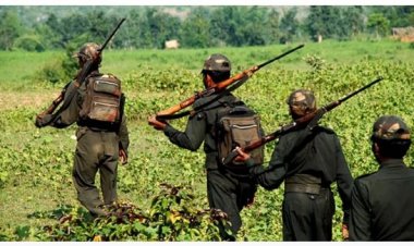 बीजापुर में पुलिस फोर्स और नक्सलियों के बीच मुठभेड़, नक्सली डिप्टी कमांडर समेत 6 ढेर