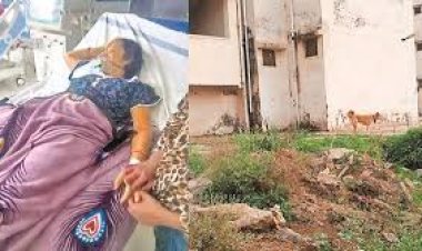 राजधानी रायपुर के लाभांडी पीएम आवास के संकल्प सोसायटी फेस-2 की स्थिति लगातार बिगड़ती ही जा रही