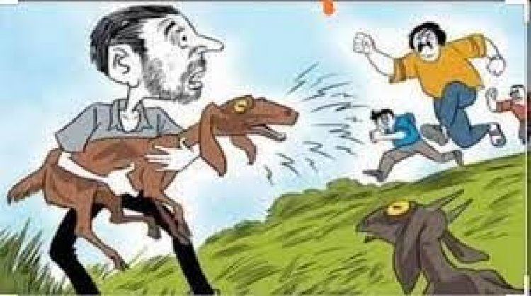 ढाबा संचालक की बकरी चोरी कर उसका सौदा करने वाले 5 गिरफ्तार