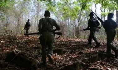 मुठभेड़ में 13 नक्सलियों के शव बरामद....