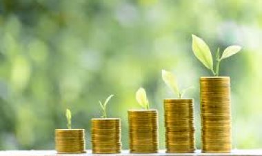 सॉवरेन ग्रीन बांड में पात्र विदेशी निवेशकों को भी अनुम‎ति