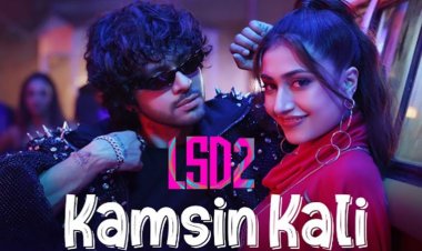 फिल्म 'एलएसडी 2' का पहला गाना 'कमसिन कली' हुआ रिलीज