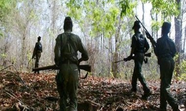 बीजापुर में नक्सलियों ने किया आईईडी ब्लास्ट, स्पेशल टास्क फोर्स के दो जवान घायल