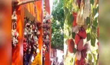 400 साल से इस पेड़ की पूजा करते हैं लोग, माता के दर्शन से पूरी होती है हर मनोकामना!