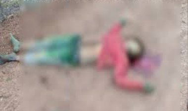 सड़क किनारे तेज रफ्तार बाइक सवार पेड़ से टकरा गया,हादसे में युवक के सिर पर गंभीर चोट आने से मौत