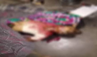 रायपुर के रामनगर इलाके में बुजुर्ग महिला की धारदार हथियार से गला काटकर हत्या