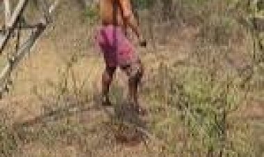 हाईटेंशन टावर के सहारे अधेड़ ने फांसी लगाकर आत्महत्या कर ली