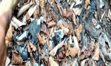 दुर्गम क्षेत्र में मिला  कंकाल