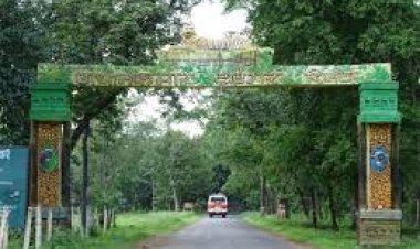 अचानकमार टाइगर रिजर्व में फोर फेज मानिटरिंग चल रही