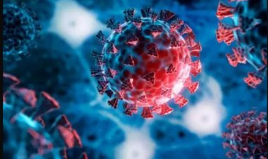 क्या हैं अमेरिका में तेज़ी से फैल रहे कोविड-19 के नए वैरिएंट्स 'FLIRT' के लक्षण?