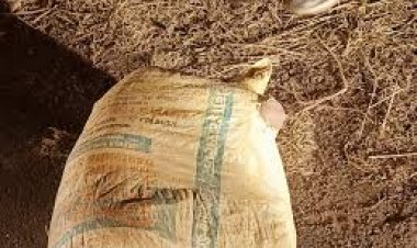 बालोद जिले में बोरे में बंद एक महिला की लाश मिली