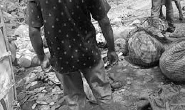 छत्तीसगढ़ के कवर्धा में सोमवार (20 मई) को तेज रफ्तार पिकअप पलटकर 20 फीट गहरे गड्ढे में गिर गया