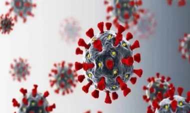 भारत में कोविड-19 के सब वैरिएंट केपी.2 से 290 और केपी.1 से 34 लोगों के संक्रमित होने की पुष्टि हुई