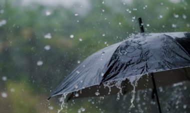 मॉनसून जल्द लेने वाला है धमाकेदार एंट्री, IMD ने बता दिया कब से होगी बारिश