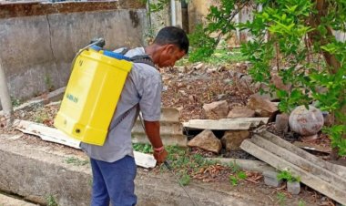 दुर्ग नगर निगम का फाइट द बाइट अभियान निरन्तर जारी