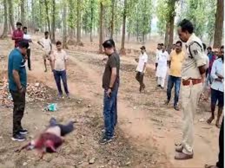छत्तीसगढ़ में मनेंद्रगढ़ के चनवारीडांड में मौहारीपारा ग्रांउड के पास एक पत्रकार का खून से लथपथ शव मिला