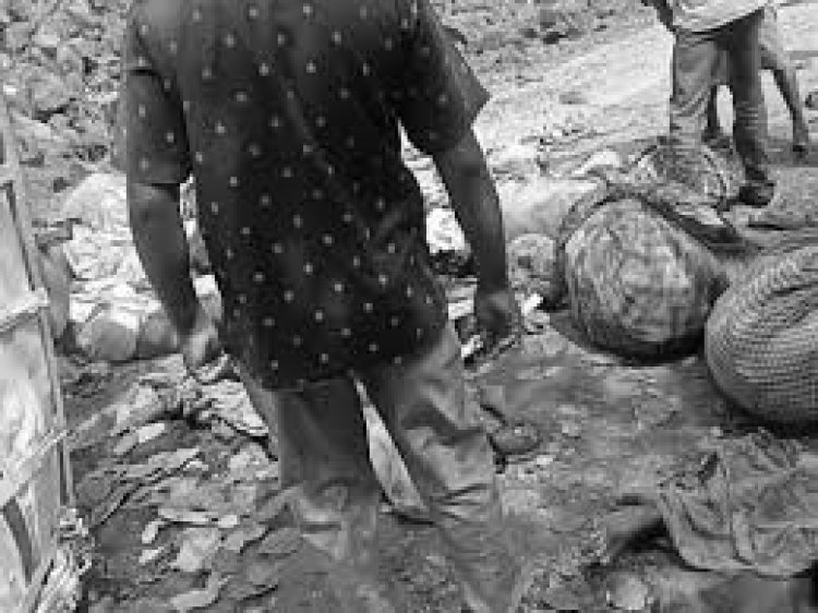 छत्तीसगढ़ के कवर्धा में सोमवार (20 मई) को तेज रफ्तार पिकअप पलटकर 20 फीट गहरे गड्ढे में गिर गया