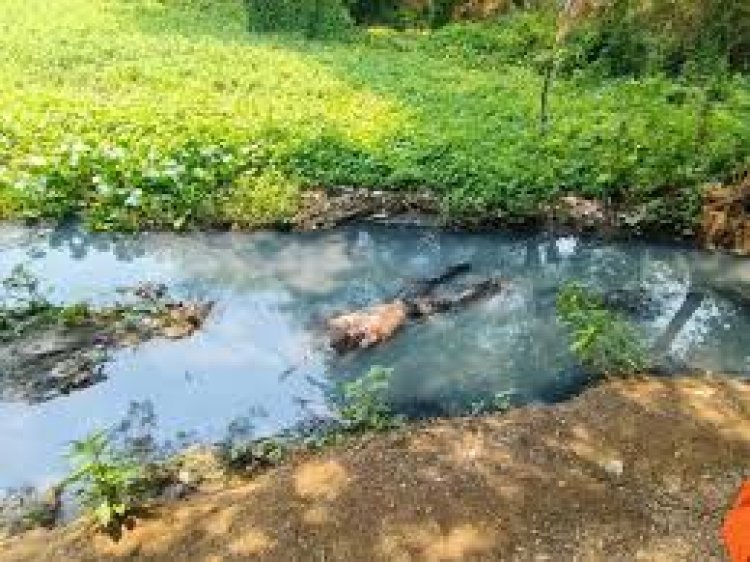 राजधानी रायपुर में एक युवक की हत्या