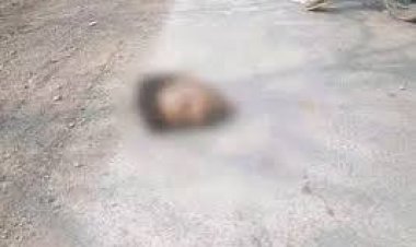 छत्तीसगढ़ के बिलासपुर में तेज रफ्तार ट्रेलर की टक्कर से बाइक सवार युवक की मौत हो गई