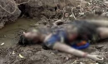 छत्तीसगढ़ के कोरबा जिले में लिव-इन पार्टनर ने गमछा से गला घोंटकर युवती को मार डाला