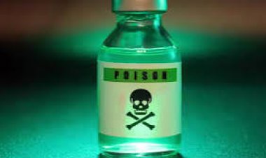 छत्तीसगढ़ के कांकेर जिले में प्रेमी-प्रेमिका ने जहर खाकर खुदकुशी कर ली