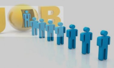 दुर्ग जिले में बंपर भर्ती, 350 पदों के लिए 21 जून को प्लेसमेंट कैम्प का आयोजन