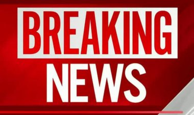 छत्तीसगढ़ में दुर्ग के गया नगर पानी टंकी के पास एक बछड़े का कटा हुआ सिर मिला,हिंदु संगठन ने बछड़े के सिर को रखकर पटेल चौक में विरोध प्रदर्शन किया