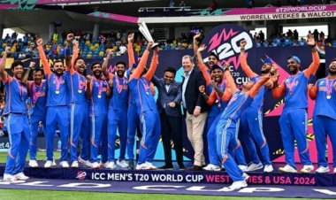 भारतीय टीम ने शानदार प्रदर्शन करते हुए टी20 विश्व कप के फाइनल में दक्षिण अफ्रीका को हराया