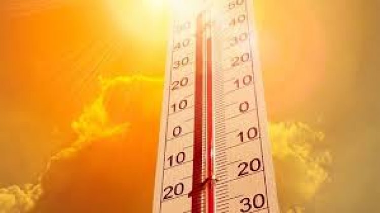 छत्तीसगढ़ में पड़ रही भीषण गर्मी में मरने वालों की संख्या 12 हो गई