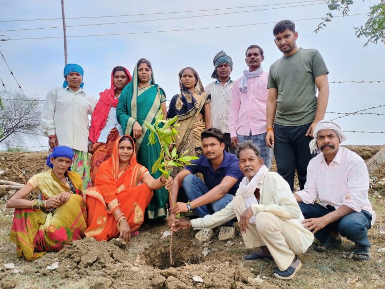पर्यावरण दिवस पर कोड़िया में पौधरोपण, गांव को हरा-भरा बनाने लिया संकल्प