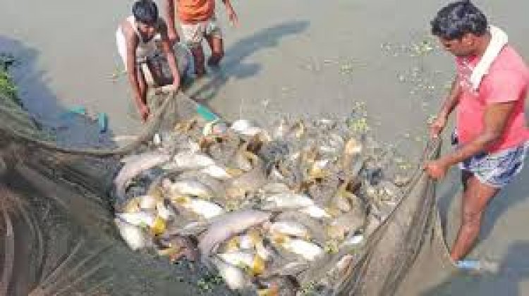 छत्तीसगढ़ में मछलियों को पकड़ना बैन कर दिया गया