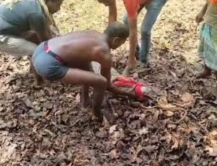 छत्तीसगढ़ के दंतेवाड़ा जिले में वन विभाग की टीम ने एक मगरमच्छ का रेस्क्यू किया