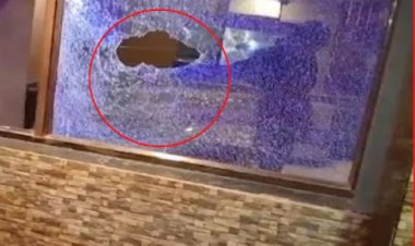 दुर्ग जिले के भिलाई स्थित पेपर चिली बार में तोड़फोड़ की घटना सामने आई