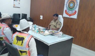 सडको में मवेशी होने पर टोल फ्री नंबर 1100 एवं बाईपास रोड में 1033 नंबर पर कॉल करें