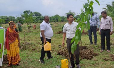ग्राम पंचायत भटगांव में एक दिन में लगाए गए 3000 पौधे