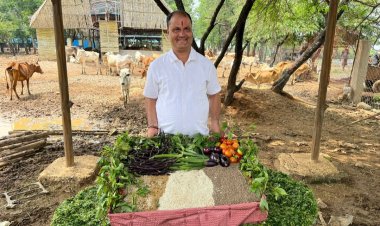 सेवा दिवस के रुप में मनाया गया समाजसेवी बंटी शर्मा का जन्मदिन, गौ माता को विशेष केक खिलाकर बंटी शर्मा ने बनाया अपना जन्मदिन 