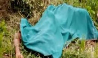 छत्तीसगढ़ के जांजगीर-चांपा जिले में दिव्यांग मनोज नट की उसकी पत्नी अंजू नट ने हत्या कर दी