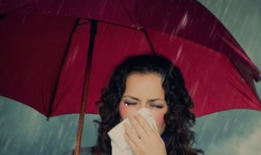 जाने बरसात के मौसम में फैलने वाली प्रमुख मौसमी बीमारियों के लक्षण और बचाव