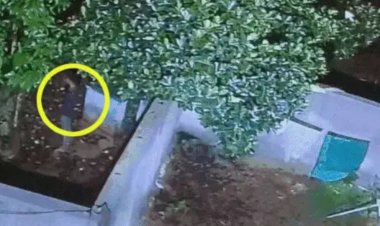 जगदलपुर में एक युवक ने  पेड़ के नीचे खड़े होकर पहले सिगरेट पी, इसके बाद पेड़ पर चढ़ा और झूलने के लिए लगाए गए रस्सी के फंदे पर झूल कर आत्महत्या कर ली