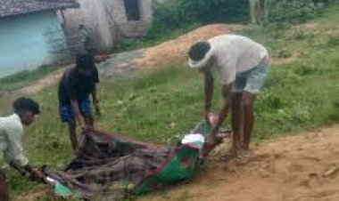 जशपुर जिले में शुक्रवार देर रात 2 से 3 बजे के बीच एक दंतैल हाथी ने घर में सो रहे 2 सगे भाइयों को कुचल-कुचलकर मार डाला