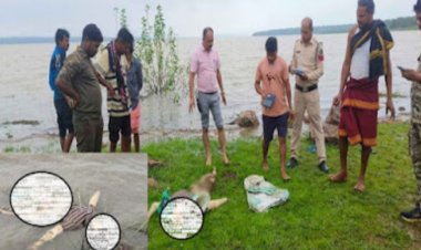 धमतरी के गंगरेल डैम के पीछे फुटहामुड़ा इलाके में एक युवक की सड़ी-गली लाश मिलने से हड़कंप मच गया