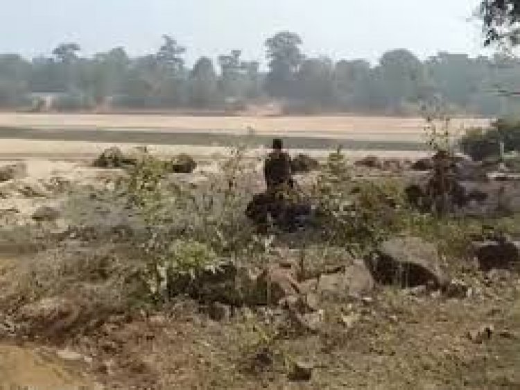 छत्तीसगढ़-महाराष्ट्र बॉर्डर पर मंगलवार को सुरक्षाबलों ने मुठभेड़ में 5 नक्सलियों को मार गिराया