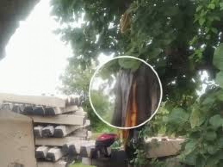 कोरबा शहर के मड़वारानी स्टेशन के पास सड़क किनारे पेड़ पर एक युवक की लाश लटकी मिली