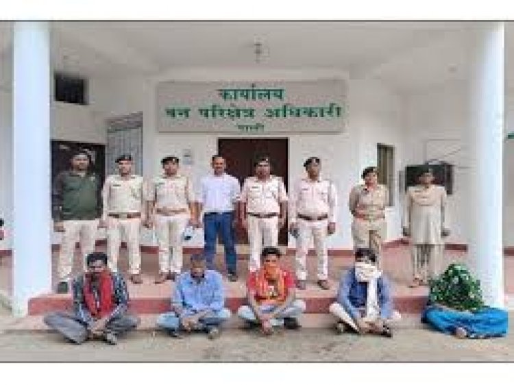 कोरबा जिले के पाली वन परिक्षेत्र में चीतल और जंगली सुअर के शिकार के मामले में महिला समेत 5 लोग पकड़े गए