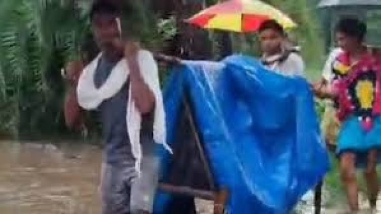 छत्तीसगढ़ के सुकमा जिले में परिजनों ने गर्भवती महिला को खाट पर लिटाकर उसे कांधे से ढोकर एंबुलेंस तक पहुंचाया