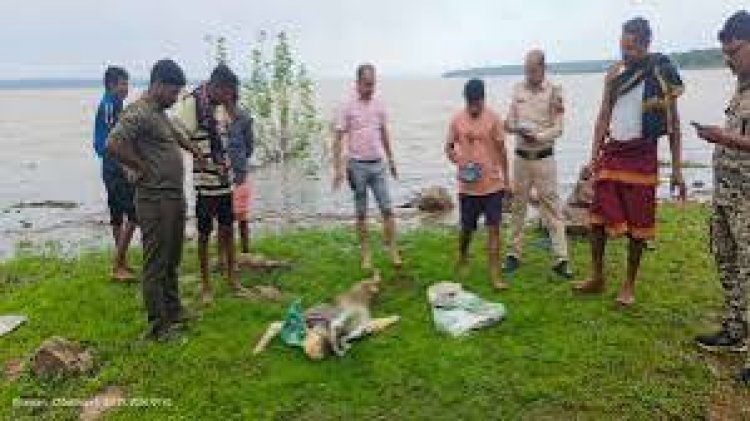 छत्तीसगढ़ के धमतरी जिले में गंगरेल बांध के पीछे फूटहामुड़ा के पास पानी में युवक की लाश मिली