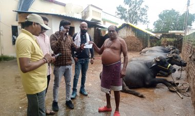 नगर निगम क्षेत्र में सड़क/नाली पर गंदगी फ़ैलाने वाले हो जाए सावधान!डेयरी संचालक के इस हरकत को देख,15 लोगो से 12 हज़ार का लगाया जुर्माना