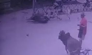 छत्तीसगढ़ के भिलाई में स्कूटी सवार 3 युवक डिवाइडर से टकरा गए, एक युवक की मौके पे मौत