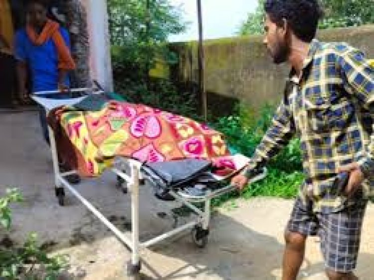 छत्तीसगढ़ के रायगढ़ जिले के धरमजयगढ़ इलाके में करैत सांप के काटने से 5 साल के बच्चे की मौत हो गई