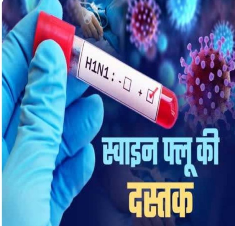 छत्तीसगढ़ में स्वाइन फ्लू की दस्तक, दो की मौत